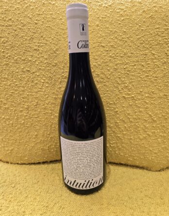 INTUITION DOMAINE COLIN COTEAUX DU VENDOMOIS (BIO)