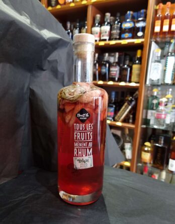 BREITZ'ILE 30°c MANGUE