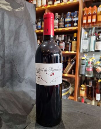 EXTRAIT DE RAMBAUD 2021 MOUTY MERLOT