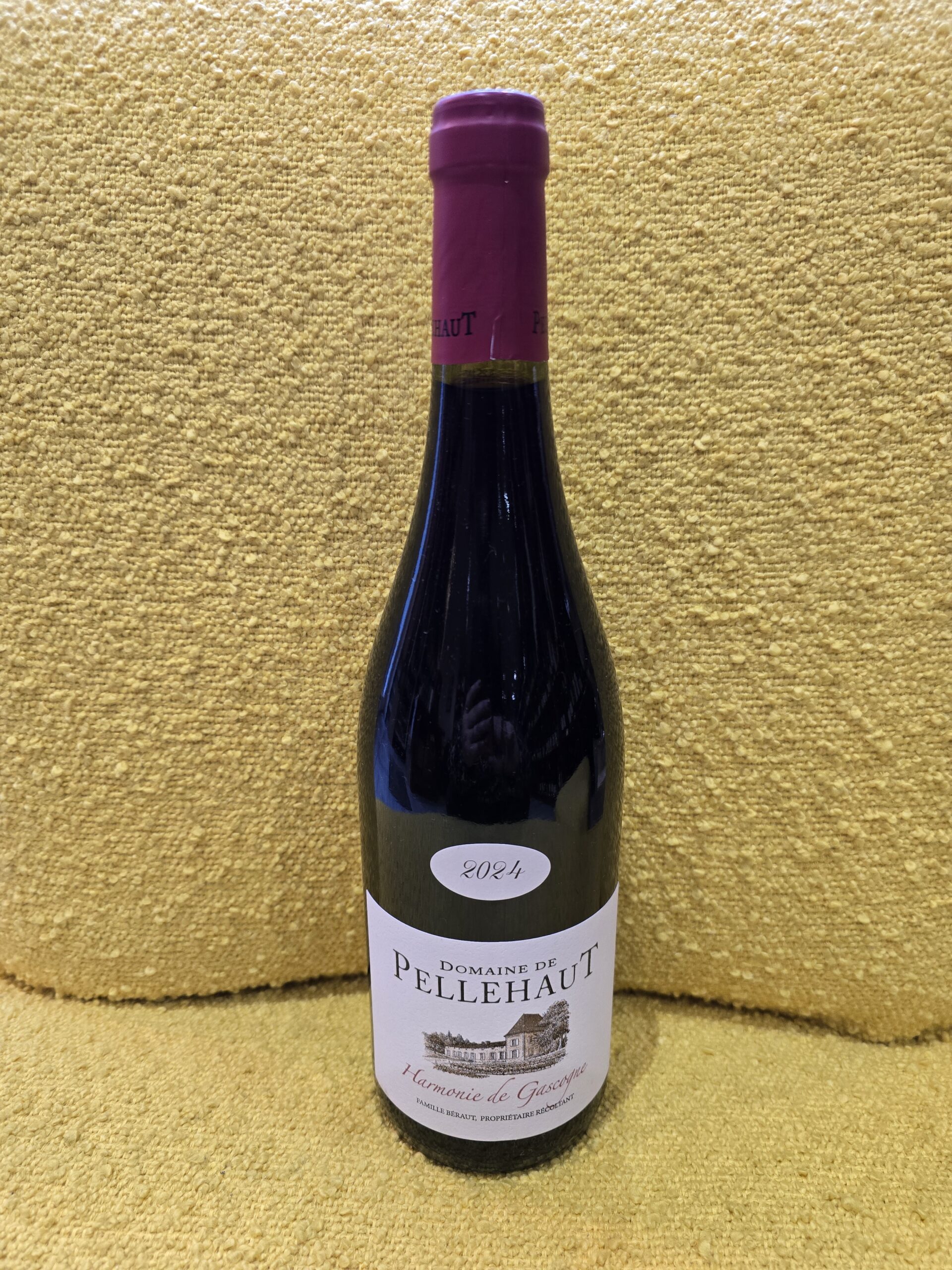 Côte de Gascogne Harmonie rouge Pellehaut